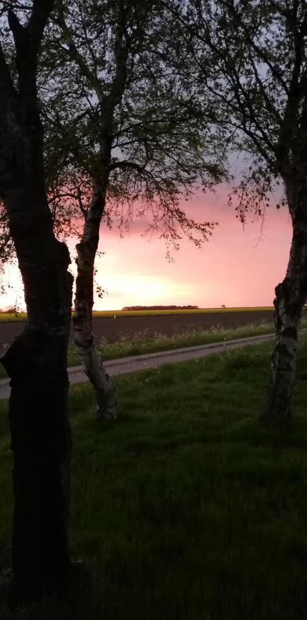 Landhaus Loewenzahn Dornum Kültér fotó